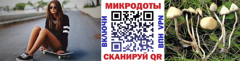 Купить  Полевской  Псилоцибиновые грибы мухоморы 
